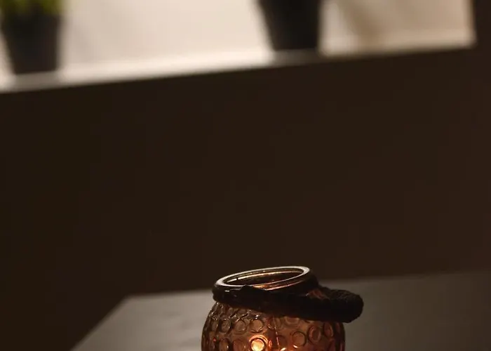 Διαμέρισμα Vrnjacka Idila *